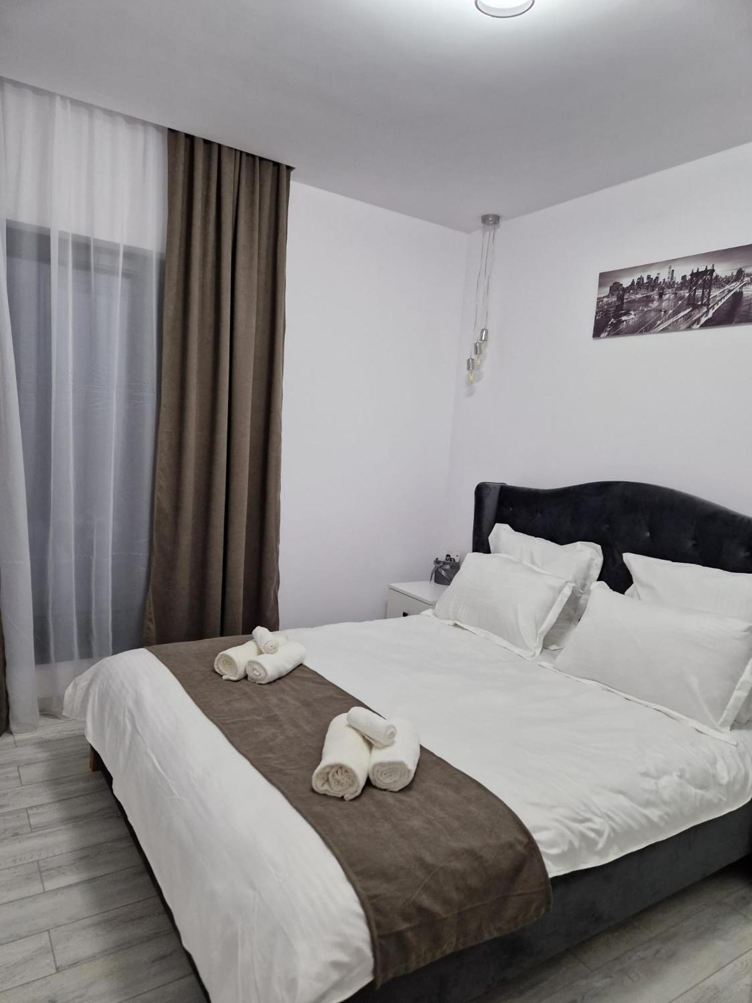 Tag Apartament Timisoara Exterior foto
